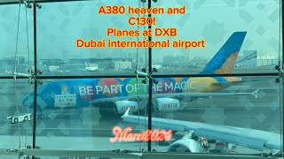 A380 heaven and C130! Planes at DXB (Dubai International Airport)