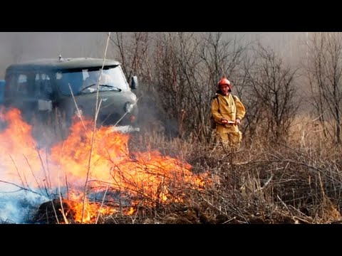 Хабаровск охватили природные пожары