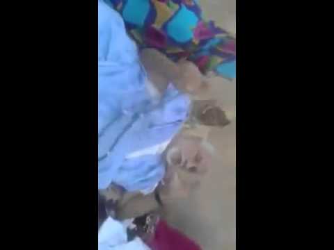 التجانية نفعنا الله ببركاتهم 