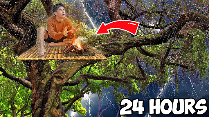 24 ชั่วโมง บนต้นไม้!! พายุเข้าที่พักสั่น..ตกดึกได้ยินเสียงเท้าใต้ต้นไม้!