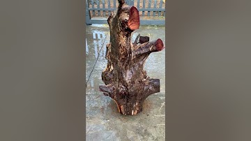 GL gốc trắc dây krôngpa 15kg đặc tịt tinh đục đẽo cực víp ace nào vào vc lh 0338918991