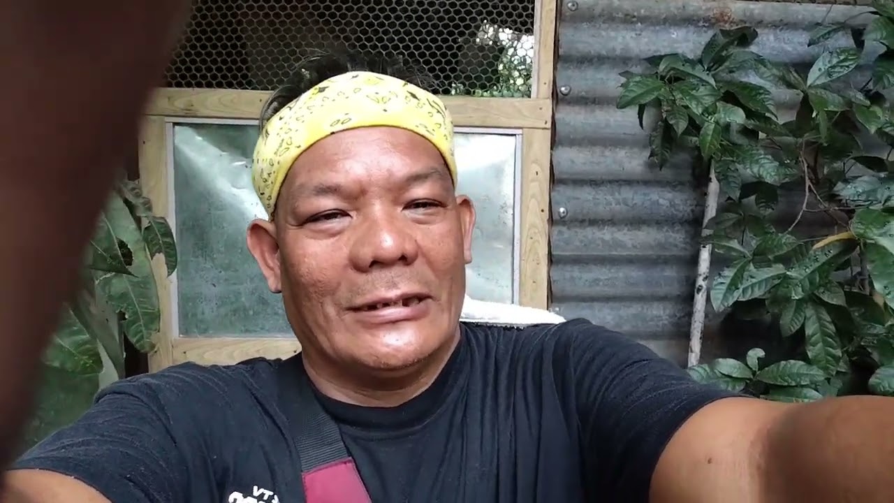 Damulag nag ayaw na bilang kagwang at kabusiness