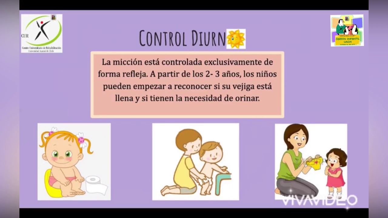 Consejos para el control de esfínteres Alumnos Escuela de Kinesiología YouTube Consejos para el control de esfínteres Alumnos Escuela de Kinesiología YouTube
