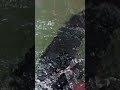 High Windsurf Jump POV #Shorts