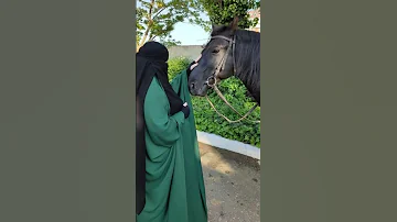 احب نقابي نقاب 