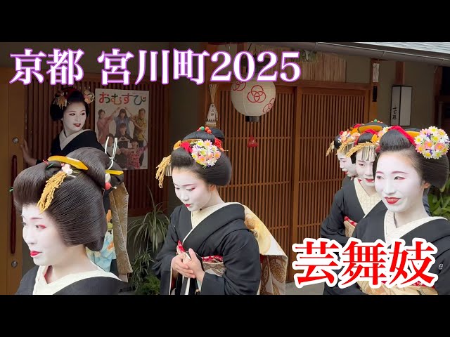 2025年1月5日 華やかな芸舞妓さんたちで賑わう新年の宮川町を