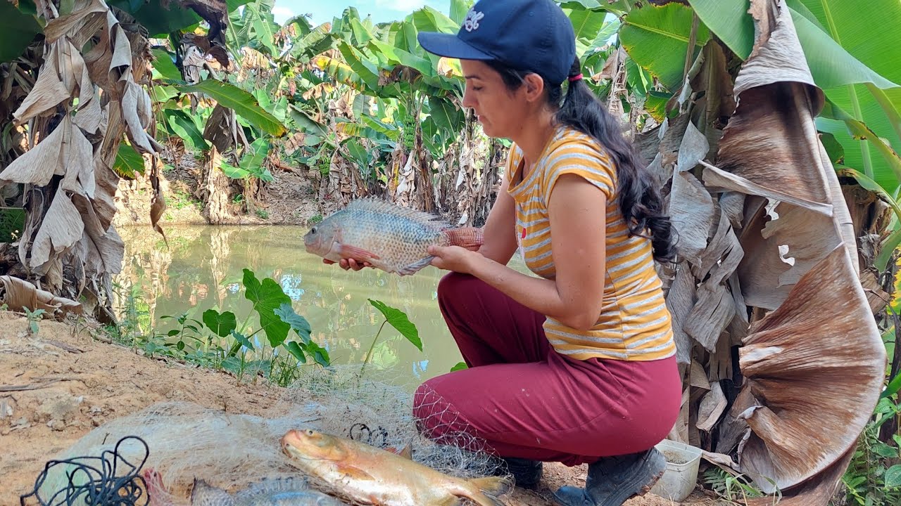 New Pescando pra Fazer HAMBÚRGUER DE PEIXE