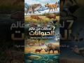 من غرائب الحيوانات | لحظات حيوانية فريدة | أخطر الطيور في العالم | أطول أنياب في العالم