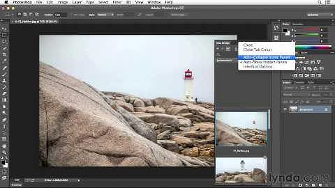 03  Customizing the Mini Bridge panel