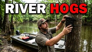 Public Land Hog Scouting & Trail Camera Setup | River Swamp Vlog