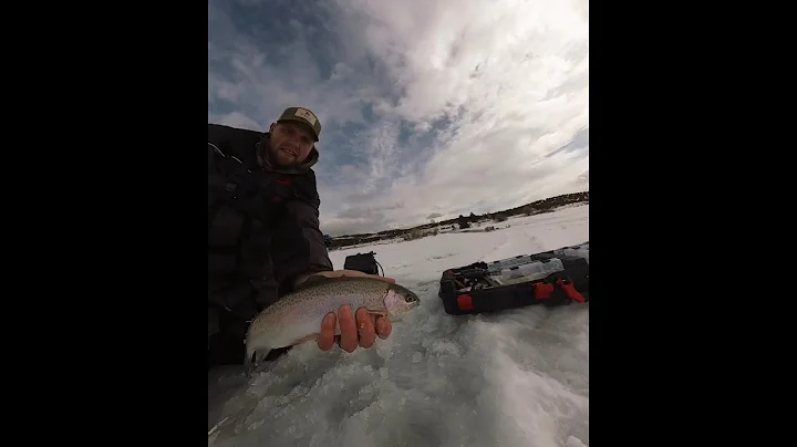 How rainbow trout saved my day of fishing!