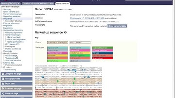 Introduction to Ensembl Genome Browser/Biomart : answer 7