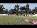 2023 St Albans Gift: 120m Masters