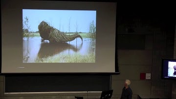 Patrick Dougherty: Stickwork