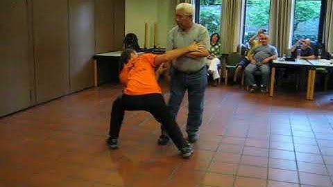Ma Jiangbao and Martin Boedicker push hands demo 2007
