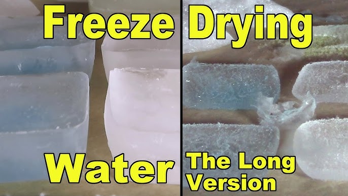 Freeze-Dried Water (Can It Be Done?) — Homesteading Family