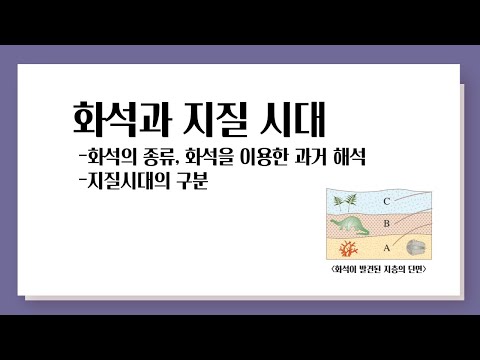 화석과 지질시대 l 화석의 종류, 화석을 이용한 과거 해석, 지질 시대의 구조