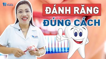 Hướng dẫn đánh răng đúng cách | Nha khoa Paris