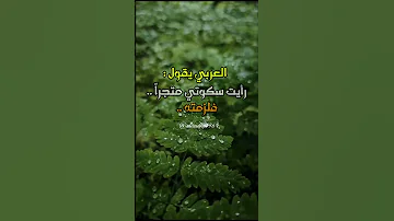 الصمت حكمة وقليل فاعله 