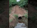 ألم سوداني