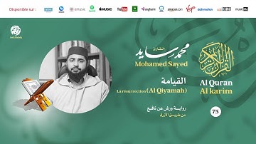 Mohamed Sayed - Surat Al Qiyamah - سورة القيامة | تلاوة بصوت القارئ محمد سايد | برواية ورش عن نافع