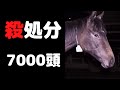 「競馬は金儲けのための残酷な世界」「関係者は狂った世界の住民」の声も　競走馬の殺処分のニュースへ向けられたいろんな意見
