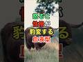 怒ると性格が豹変する血液型 #知恵 #名言 #開運 #雑学