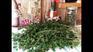 How to Harvest More Herbs: Cut and Grow