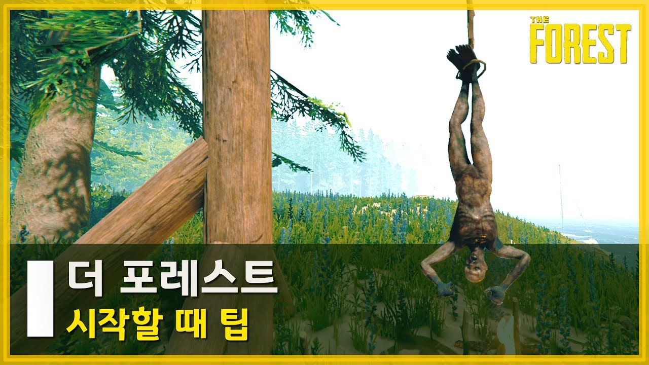 🌳더 포레스트를 시작할 때 알아야 할 팁!