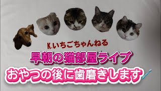K、いちごちゃんねるの配信のサムネイル画像