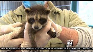 Wildlife Rescue Program Teaches Norfolk County Inmates New Skills