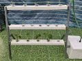 Diy hydroponics  easy way to build your own hydroponic system at home