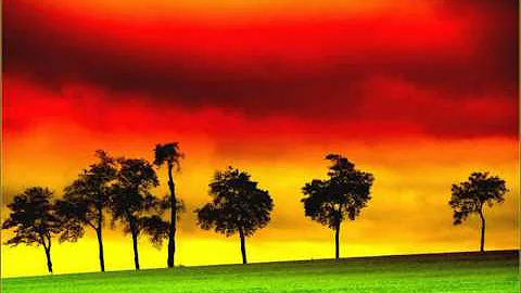 Cynthia Schloss - Am I Losing You - Reggae Music