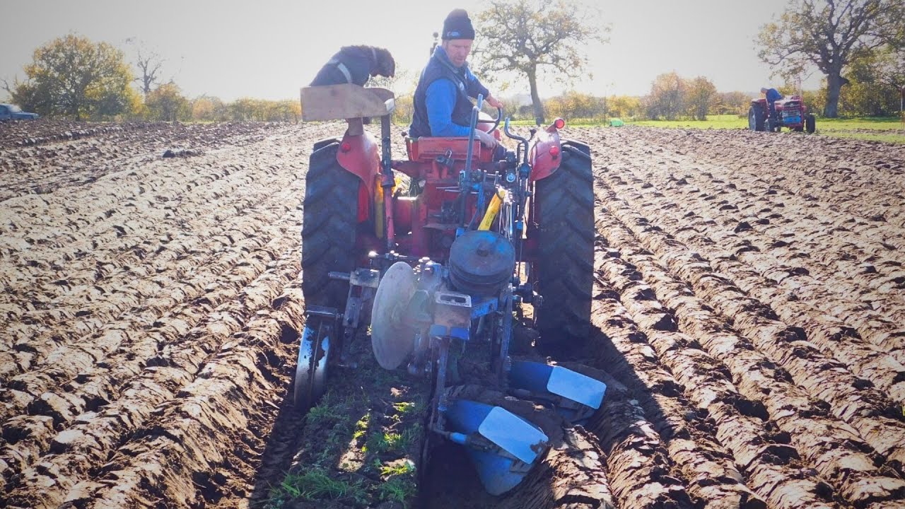 Sanford St Martin Ploughing Match 2025