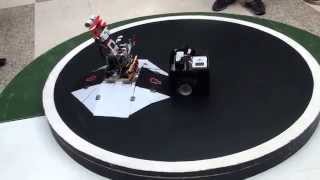 sumo robot jordan -EDX vs KING'S