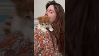 Granite - 8 Week Old Maine Coon Kitten - Personality Assessment by Sassy Koonz Maine Coon Cattery 154 views 11 days ago 1 minute, 48 seconds