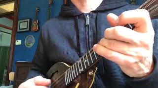 Learn the New Policeman on mandolin