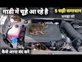 RAT PROTECTION MESH For CAR 🚘 how to get out of car rat car  में चूहे आते हैं कैसे बाहर निकले #mech