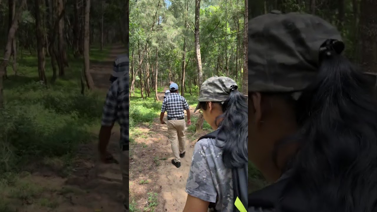 Documentation of coastal grass of Odisha