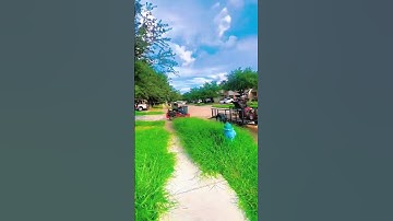 lawn edging process part 10 | how to edge after rain or wet soil