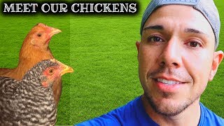 OUR CHICKENS ARE GROWING 🐥🐓 // COOP TOUR YouTube