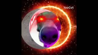a bacondoggy eclipse😅#solarsystem #solareclipse #edit #viral #bacon #foryou #fyp