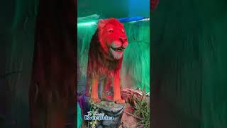 Robotic Animals | Amazing Creation | Robotic Animals at Exhibition in Hyderabad | Funny Movements