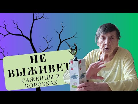 Саженец из этой