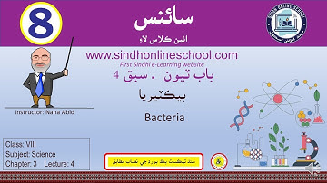 Bacteria| Science Class 8| Chapter 3| Lecture 4| by Nana Abid| Sindh Online School