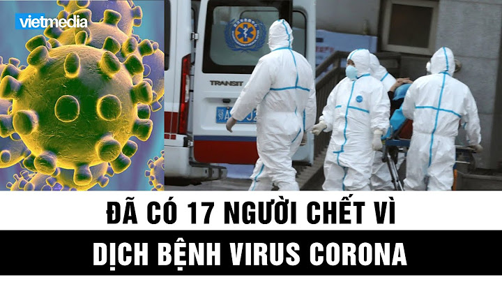 Việt nam có bao nhiêu người chết vì virut conda năm 2024