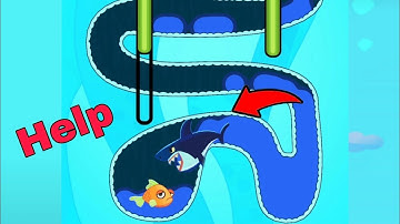 Save the Fish - Pull the Pin Game Level 11-20