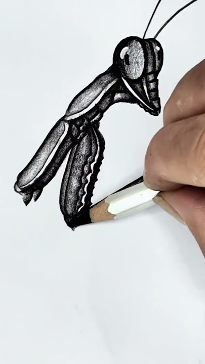 The BEST Way to Draw a REALISTIC Praying Mantis #drawing #art #sketch #insectdrawing