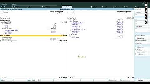 Detailed Balance Sheet TDL |Tally Prime TDL|Tally Erp 9 TDL|TallyAddon