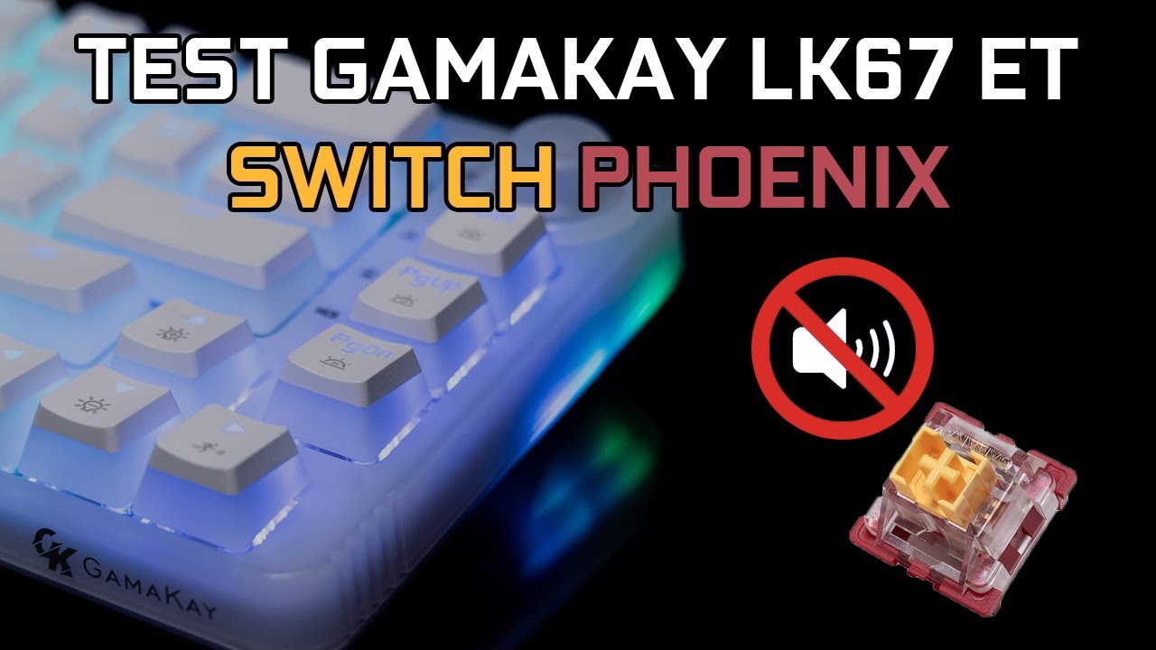 Le clavier mécanique le plus silencieux ? Test Gamakay LK67 avec Switch  Phoenix 
